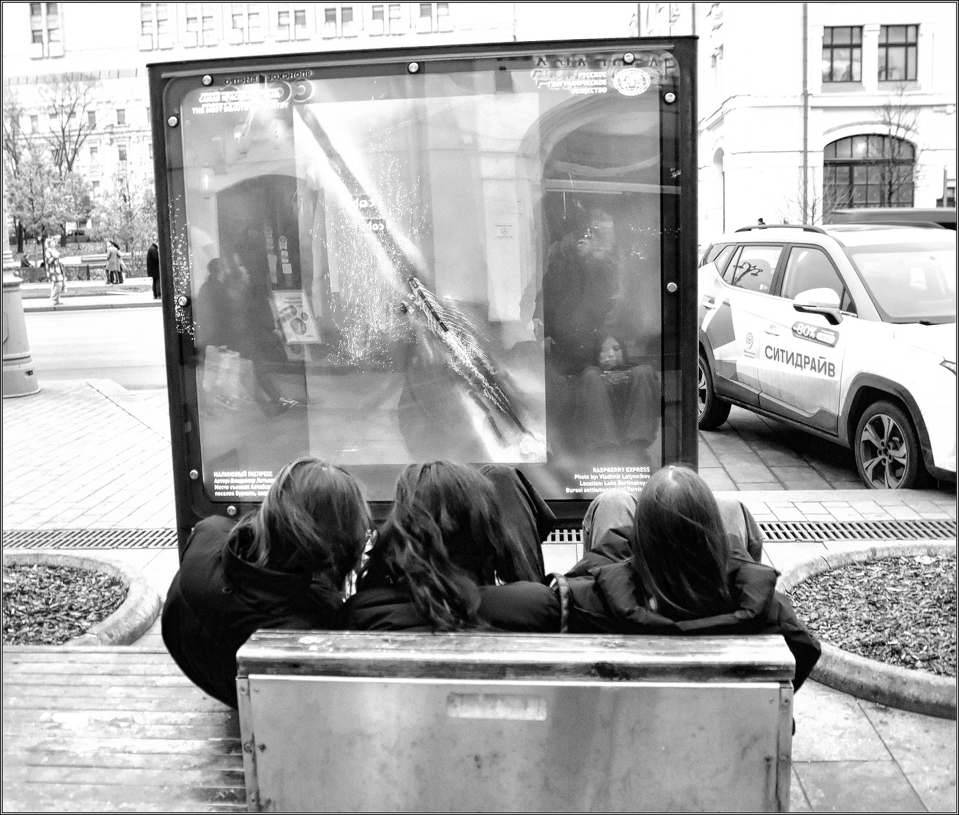 ...Созерцая отдельную реальность .....