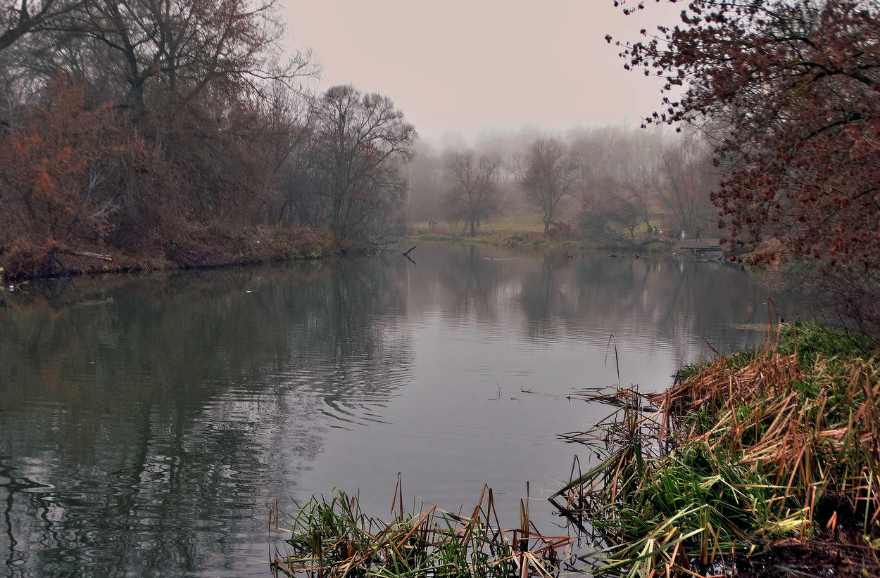 Туманным осенним днём на реке