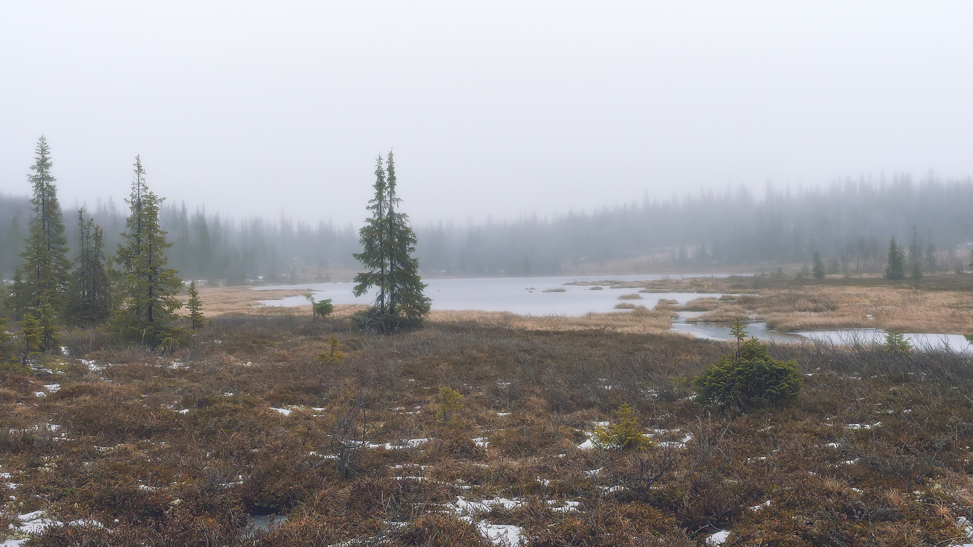 Что мнится встретить в ноябре?