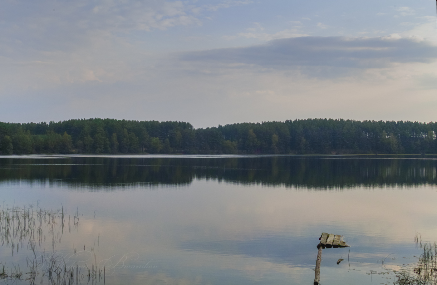 Умиротворение