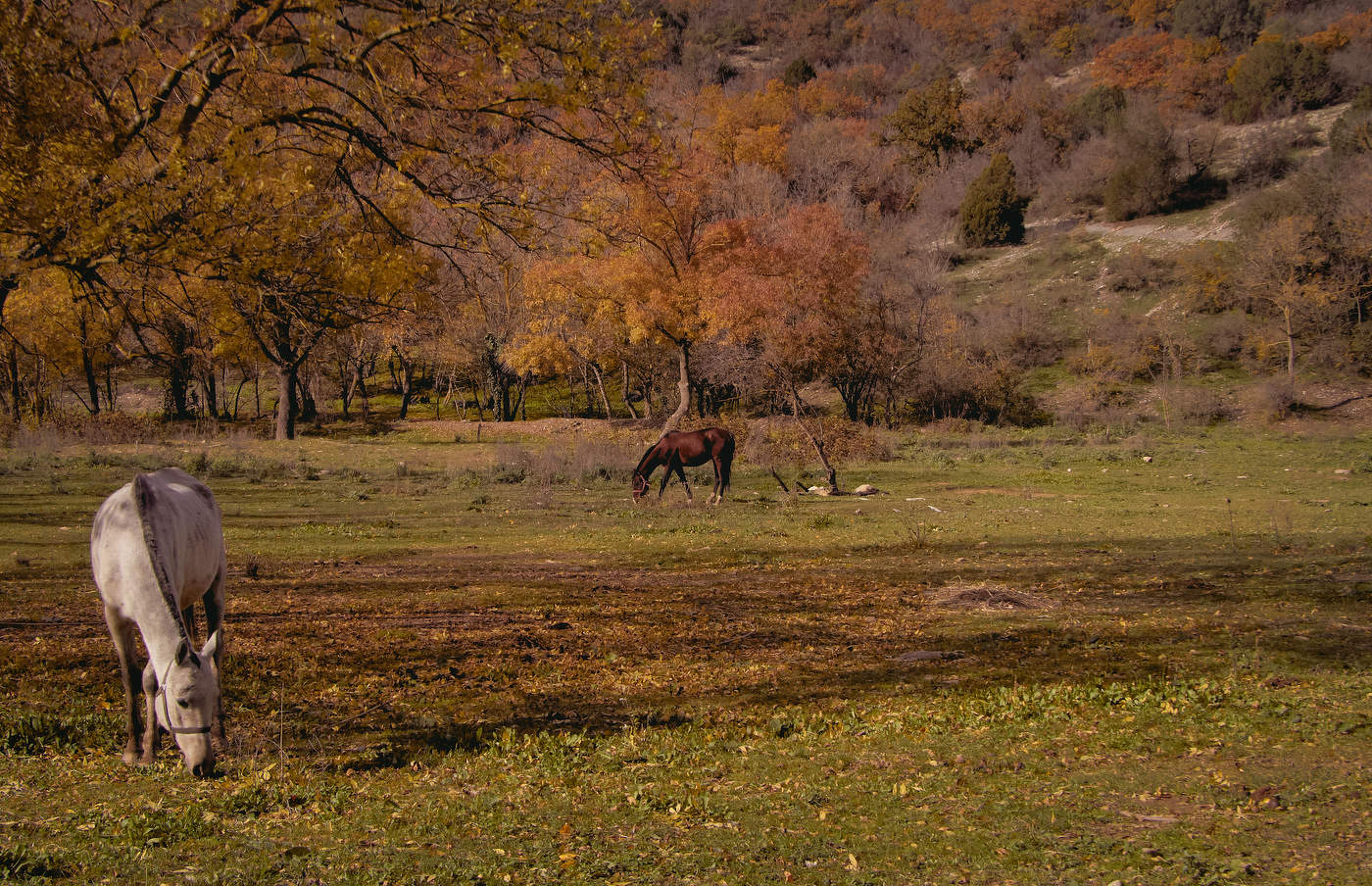 Один из дней осенних