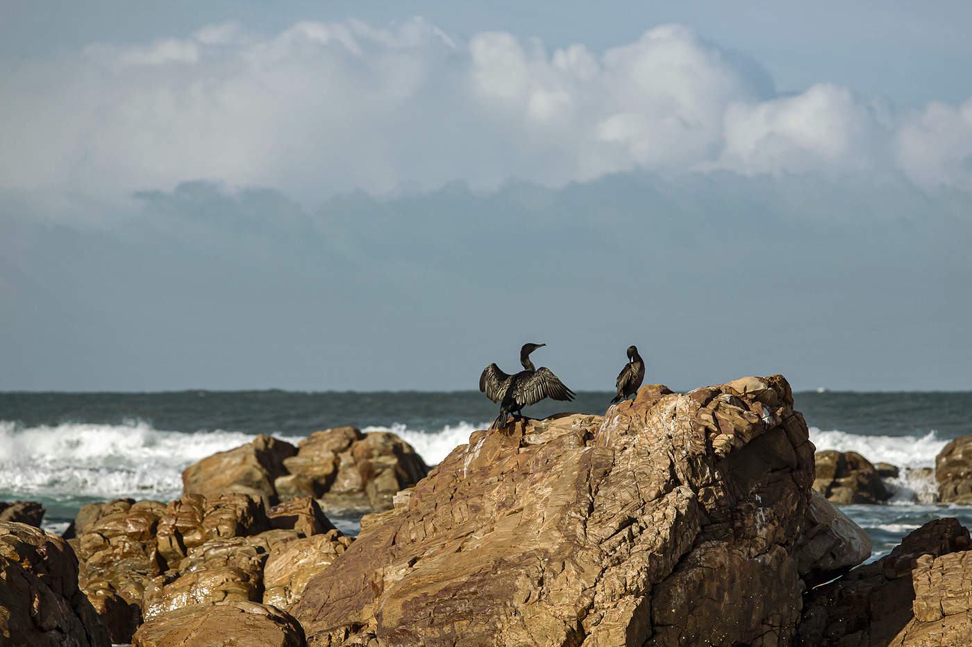 Вот такая рыбина!