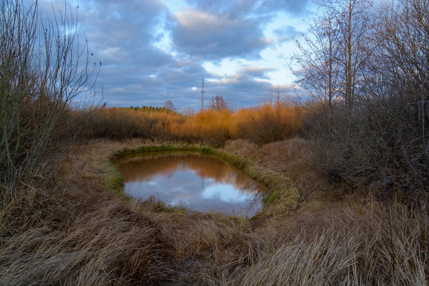 Озеро в траве.