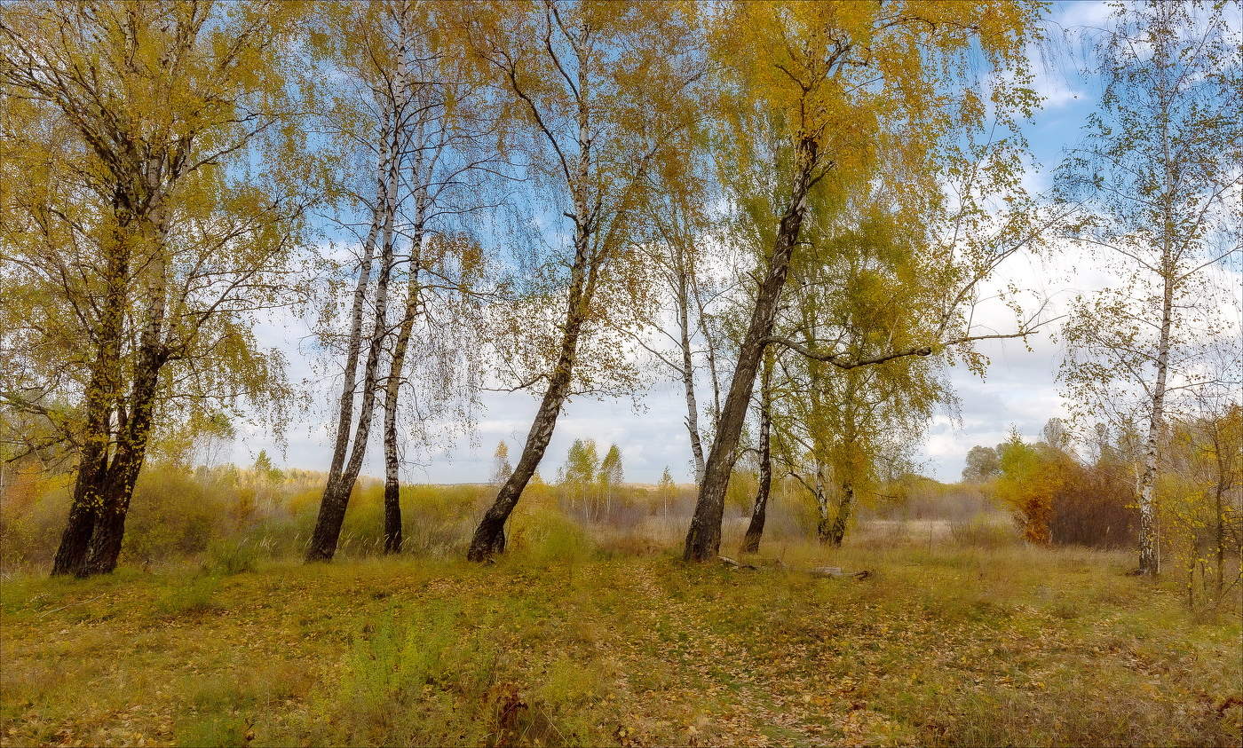 ПАДАЛ БЕРЕЗОВЫЙ ЛИСТ