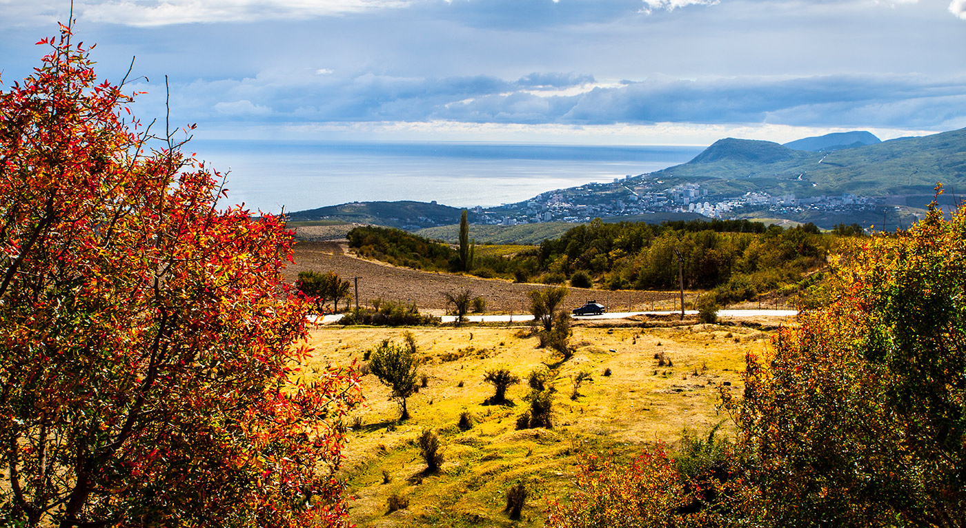 Спонтанный портрет
