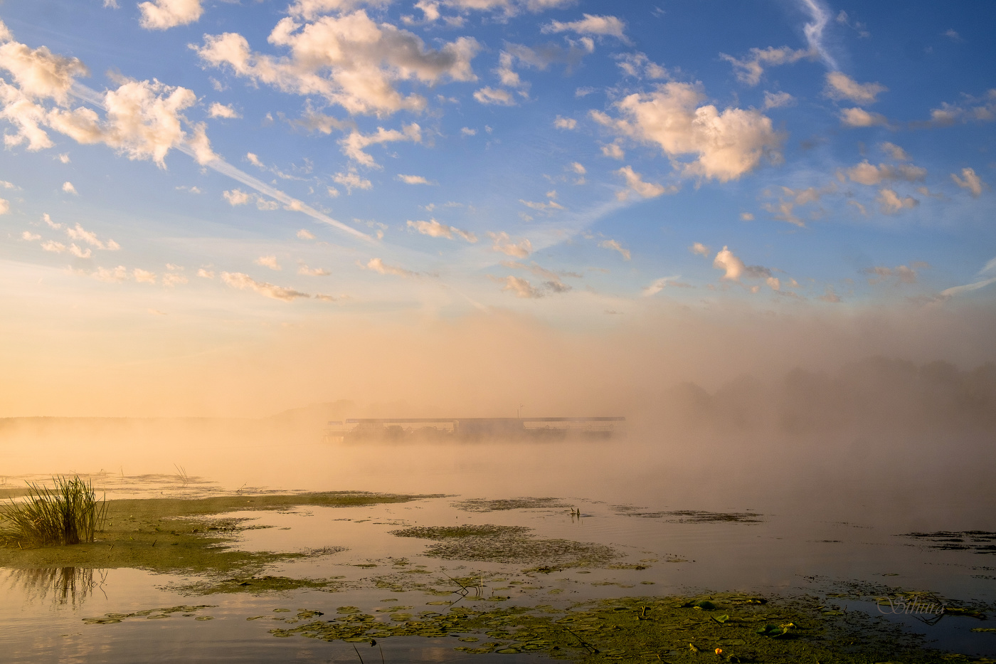 Ока на рассвете.