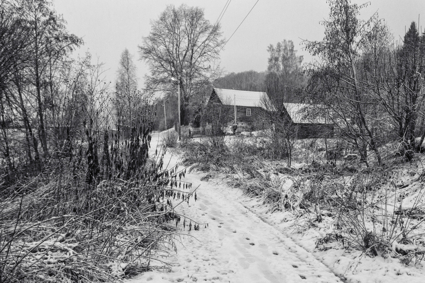 Жизнь вокруг