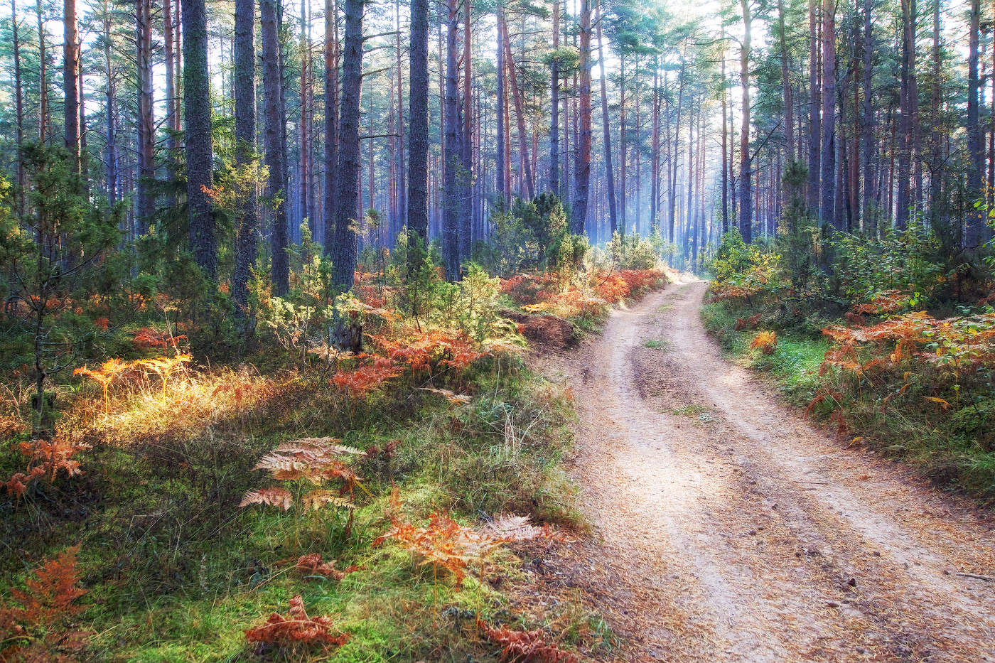 Осенним утром