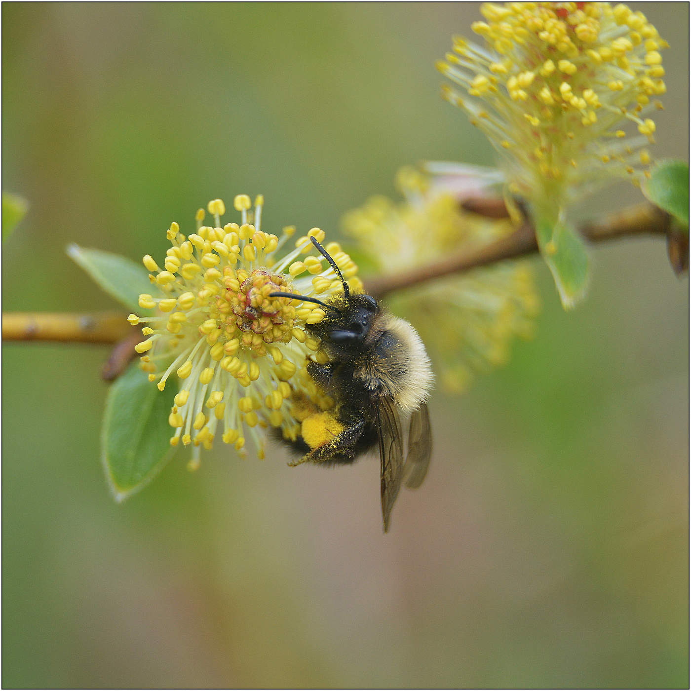 А Весна-то в разгаре.