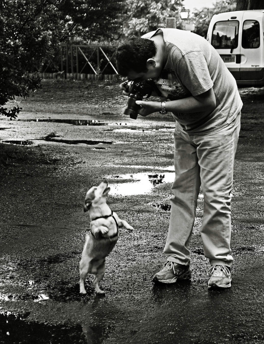 Взаимный интерес