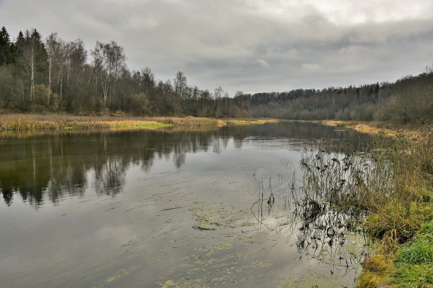 "И время медленно уносит ноябрьский день. Глухая осень..."