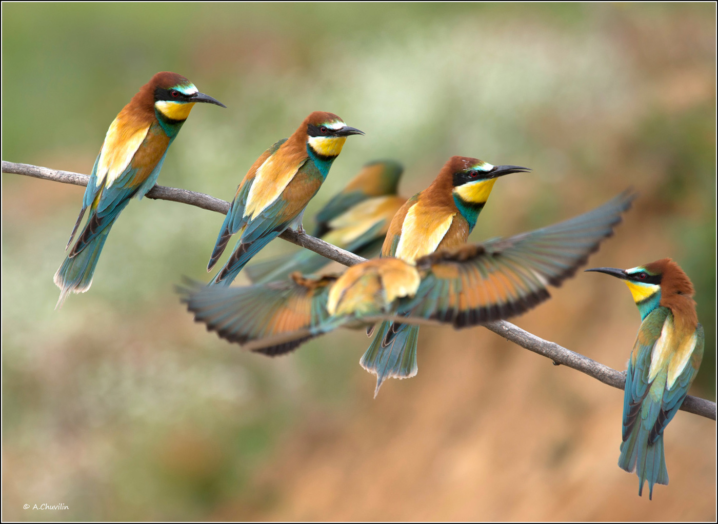 Ну куда ты, мест нет )