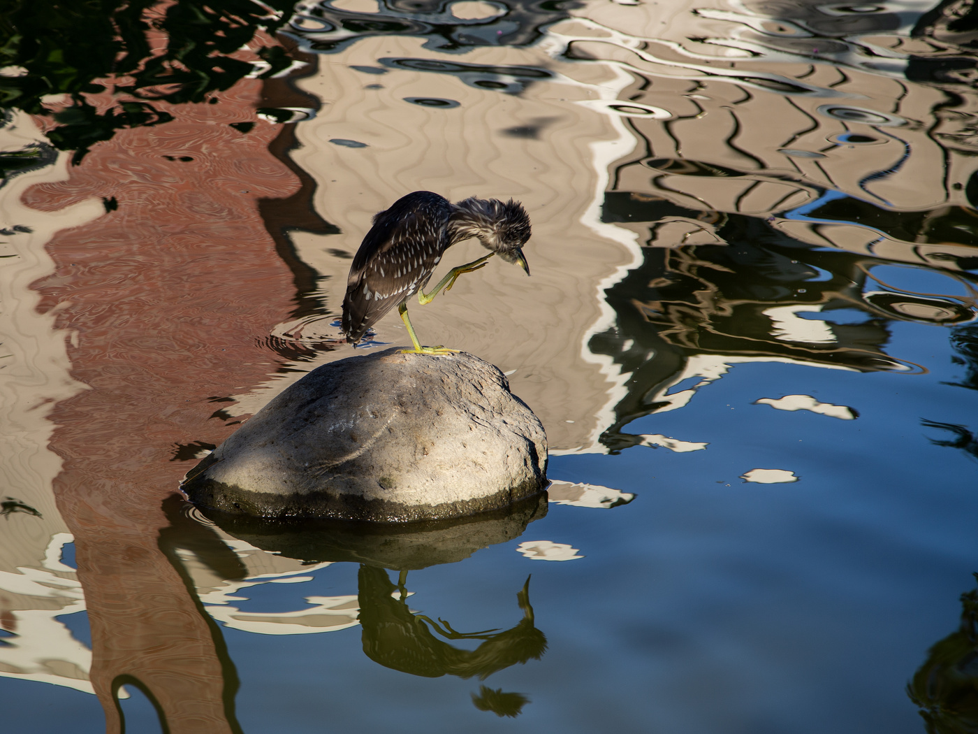 Айога-га- га