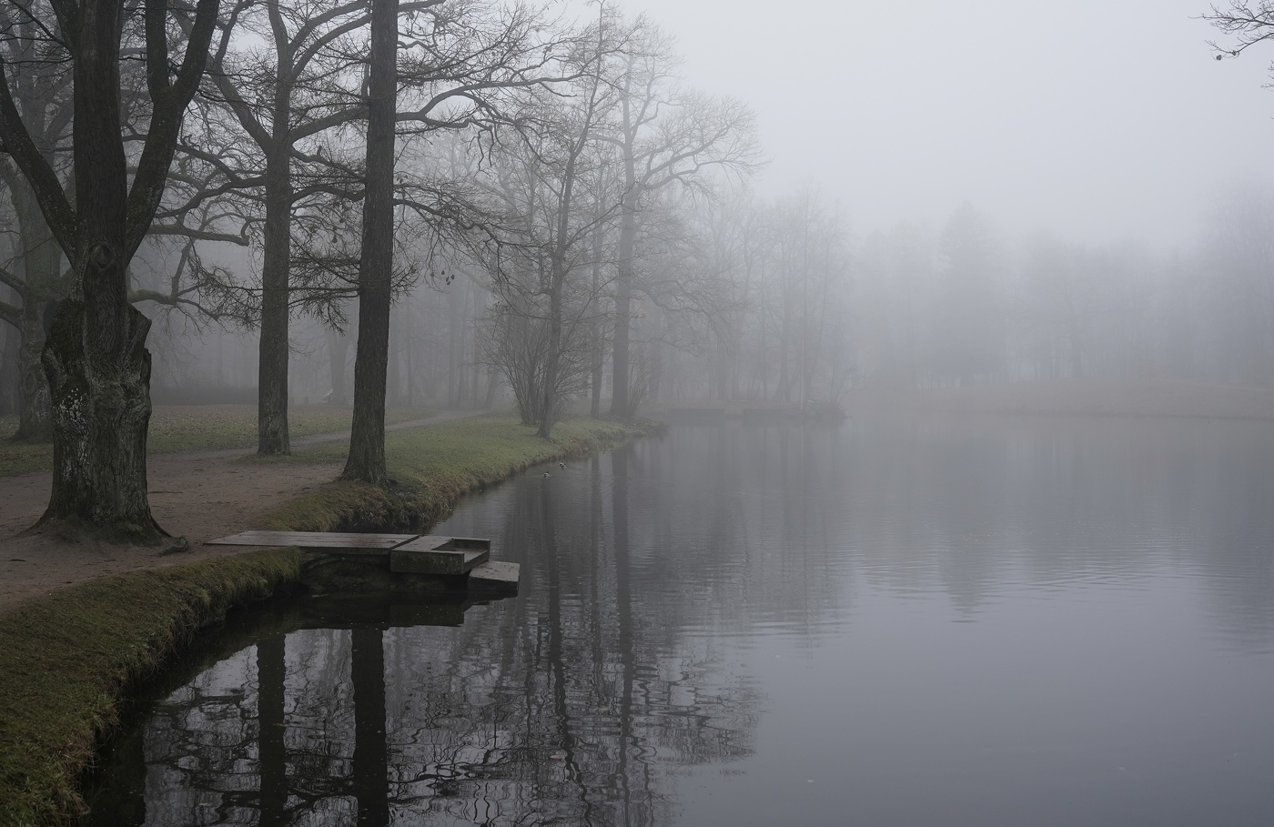 Утро в ноябре