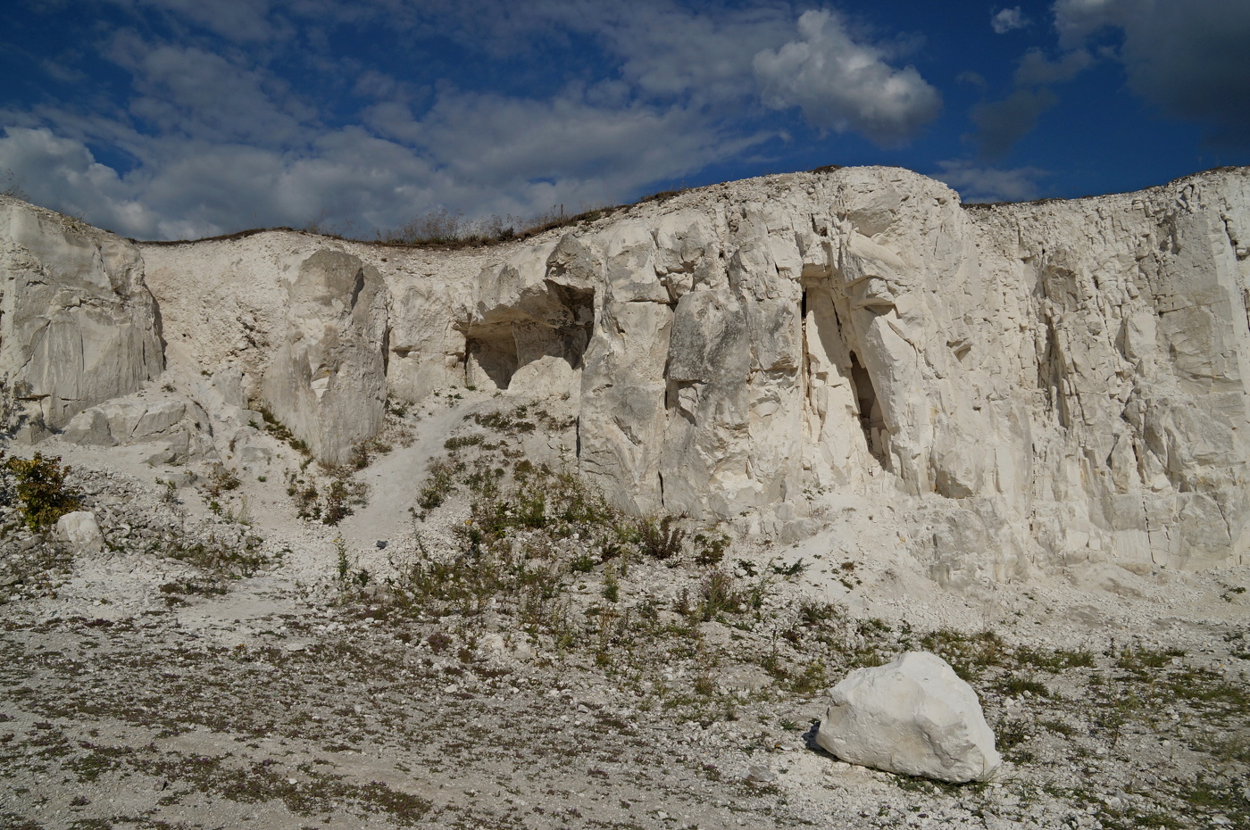 Ровесники динозавров