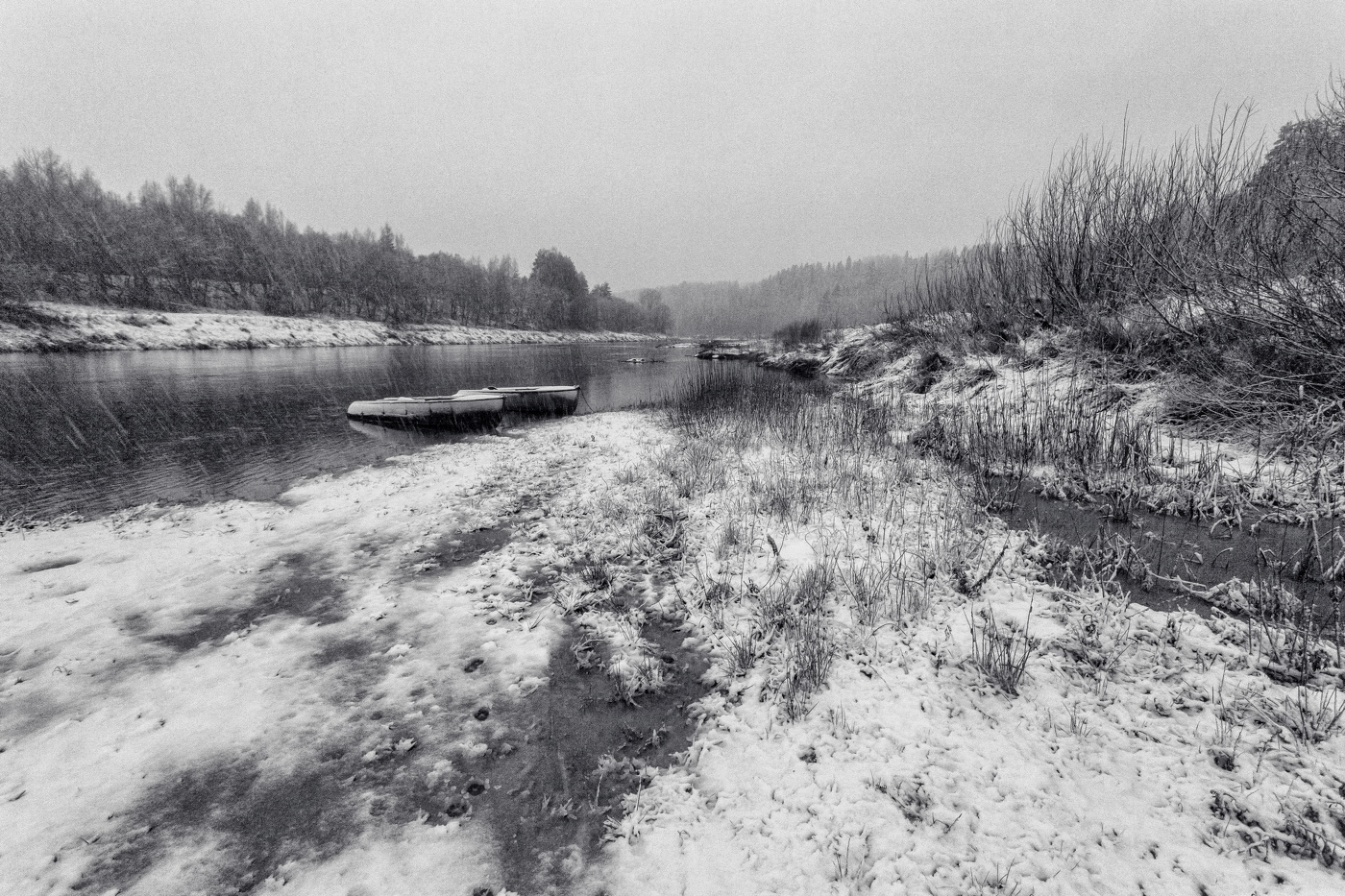 Жизнь вокруг