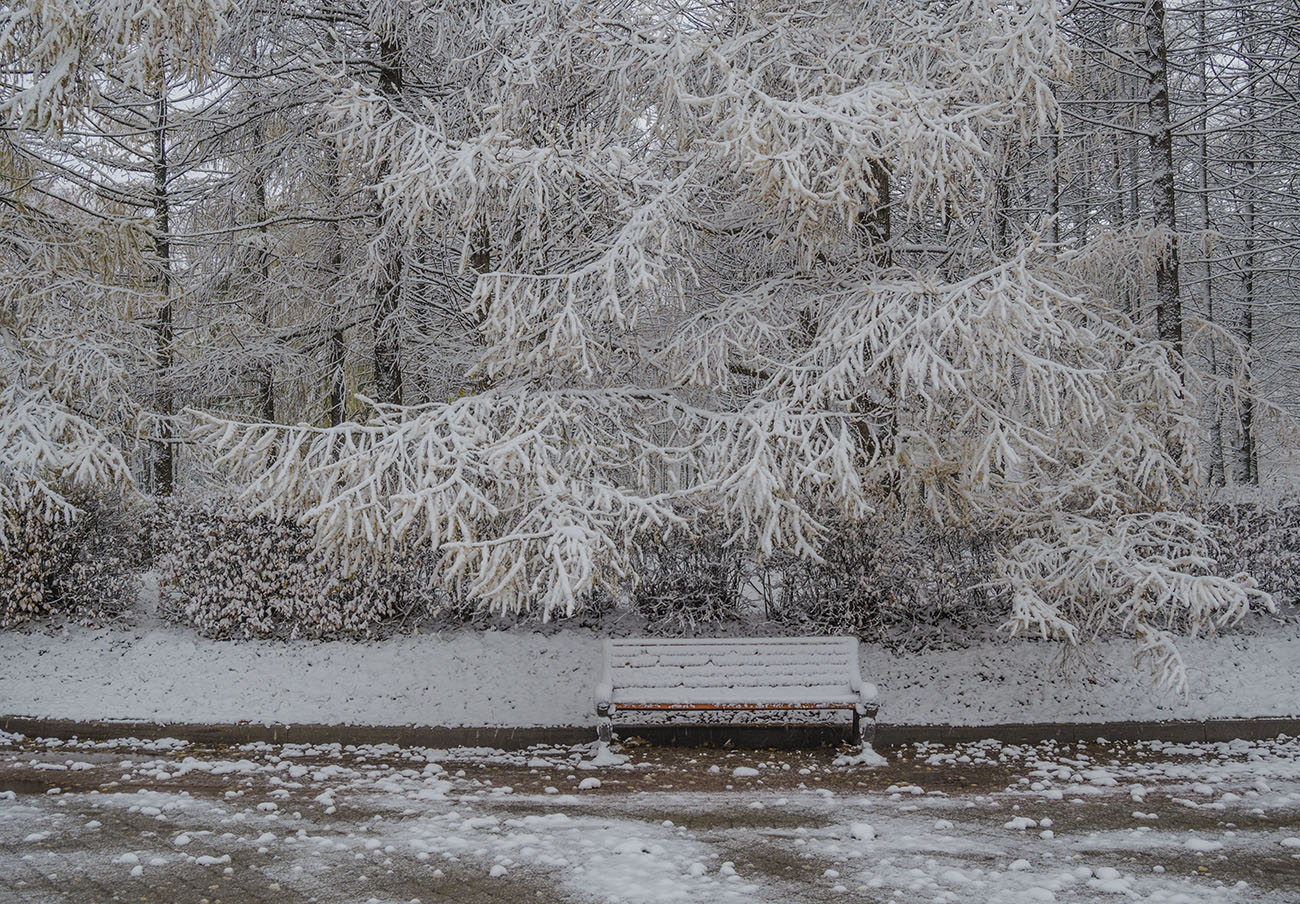 У рощи Ильича
