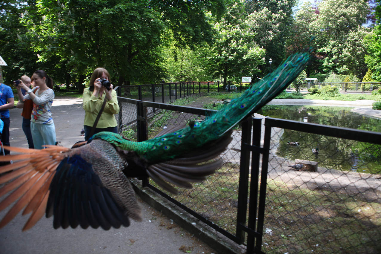 Сейчас вылетит