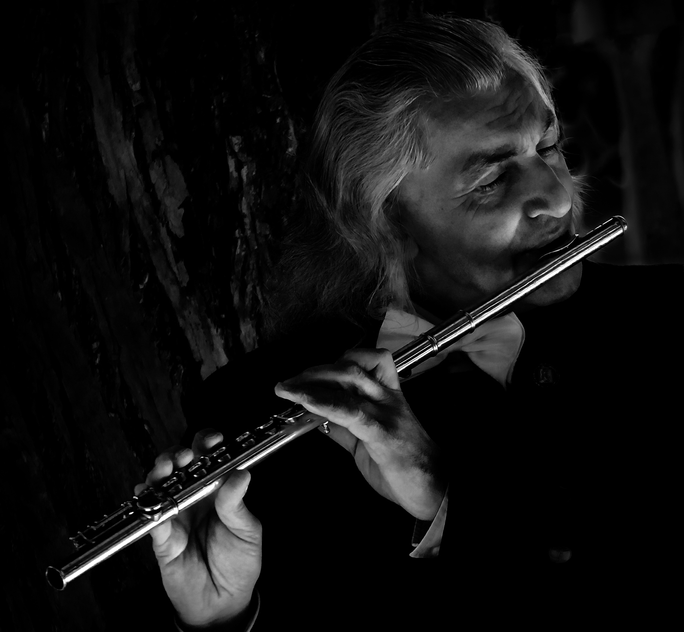 Царскосельская мелодия