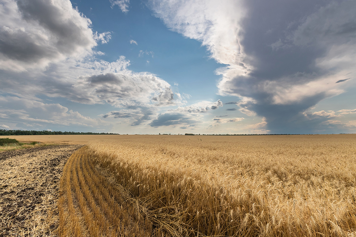 У поля на краю