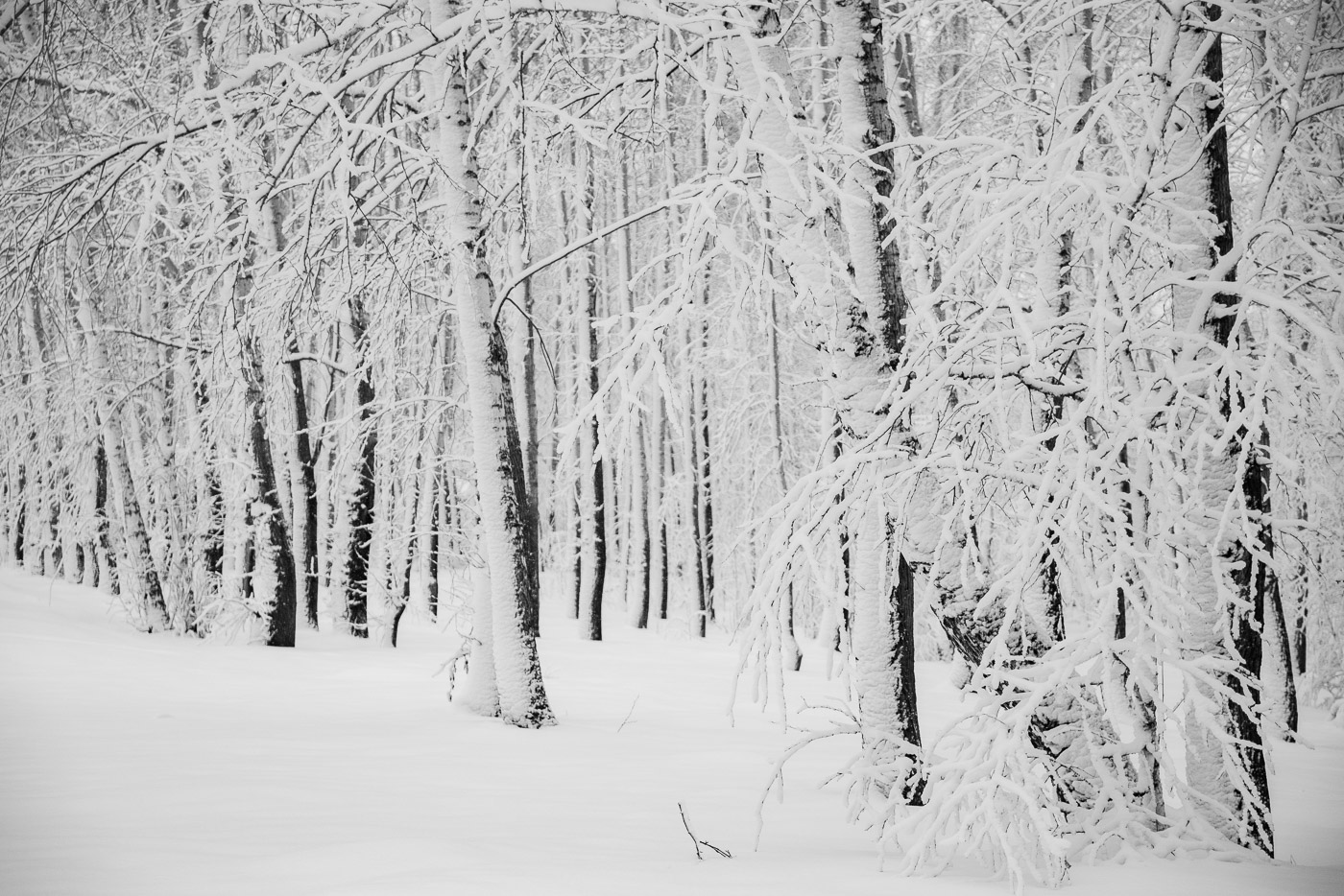 Призрачно всё...