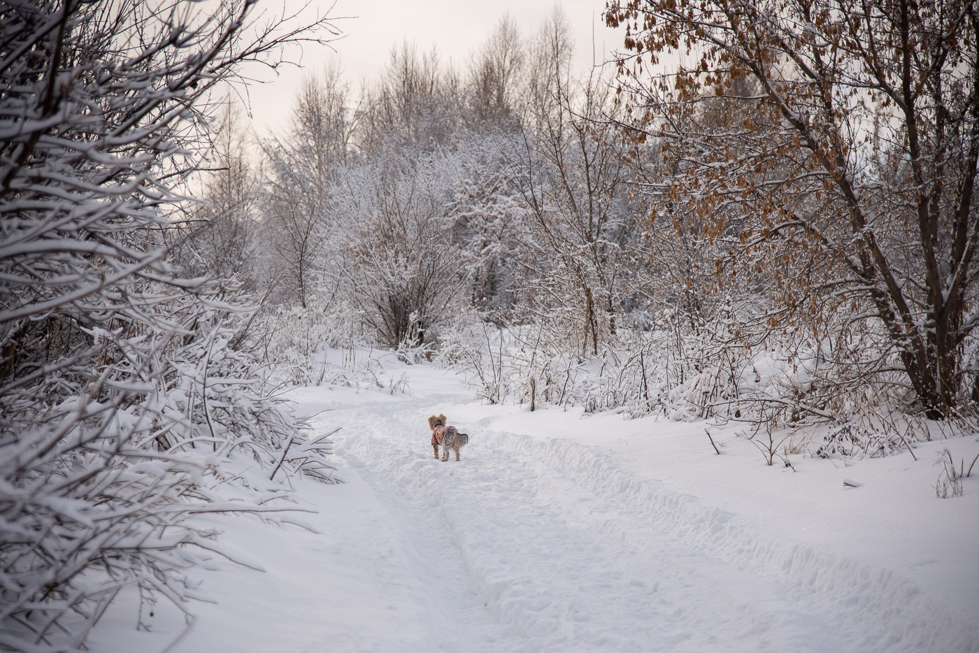 Вот, новый поворот...