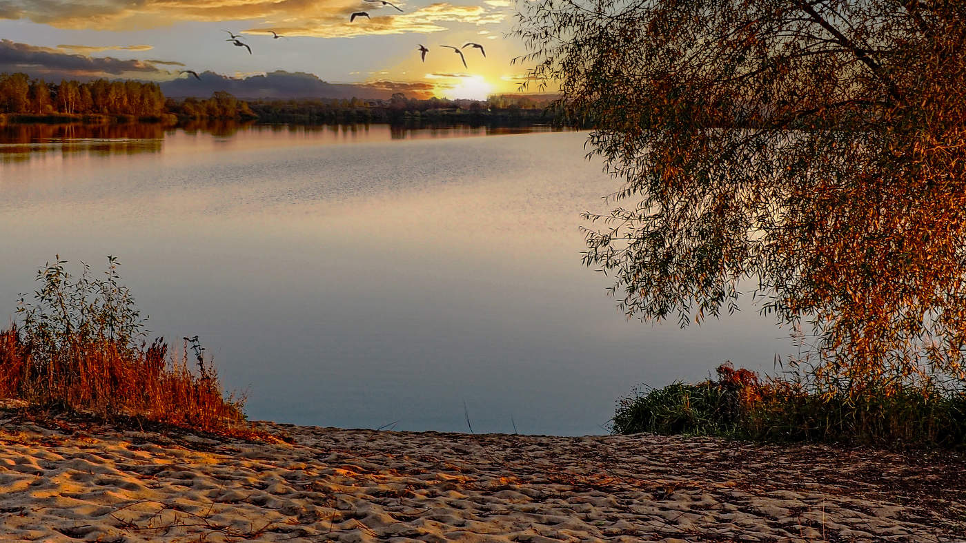 Осень нам дарит остатки тепла..