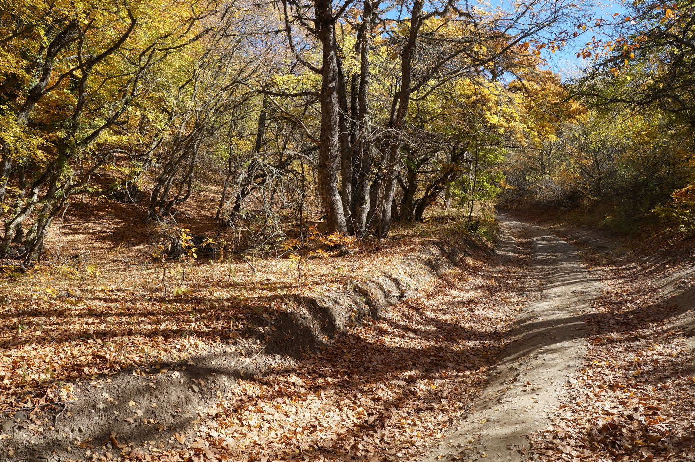 Тени-пешеходы