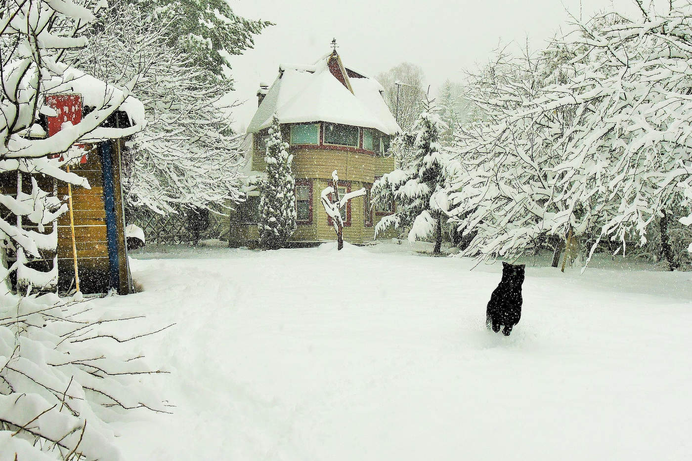 "Еще ноябрь, а благодать уж сыплется, уж смотрит с неба..."