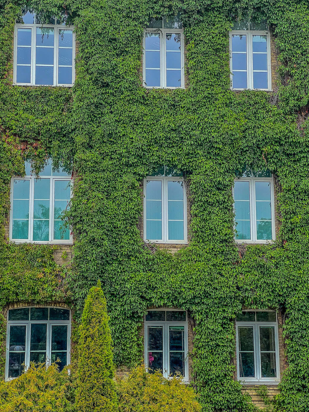 Природный интерьер