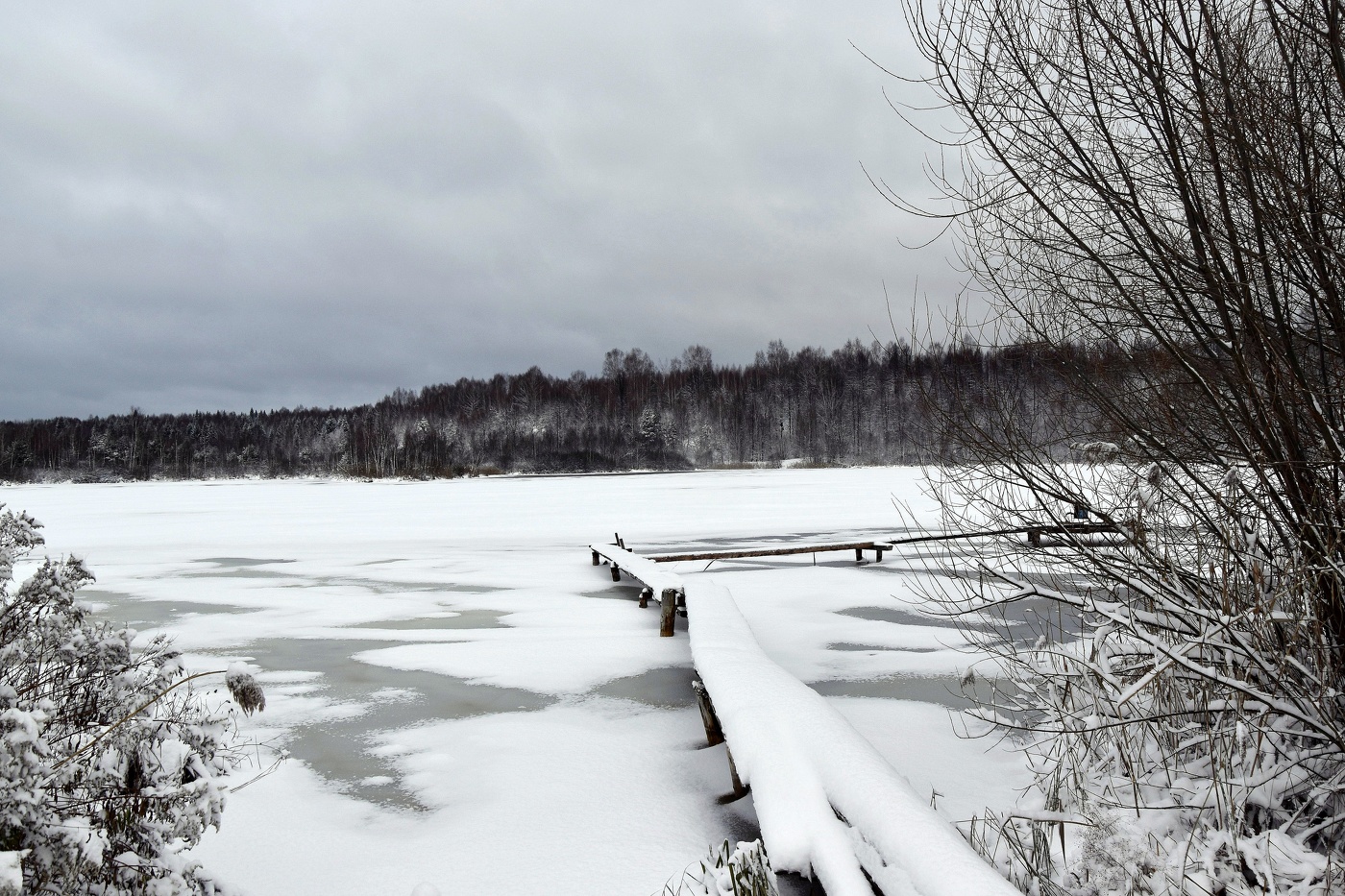 Предзимье... Ноябрь.