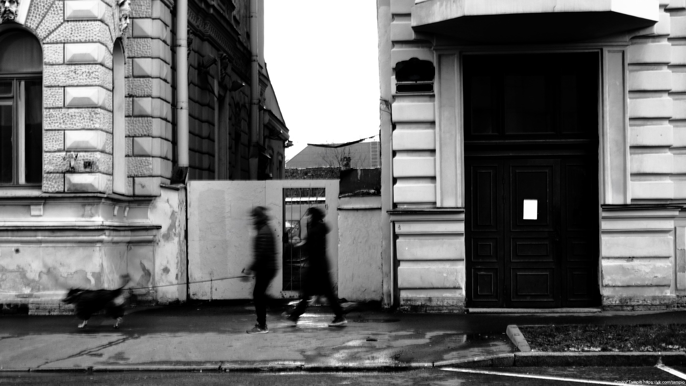 неизвестные с собакой и белое объявление на чёрной двери