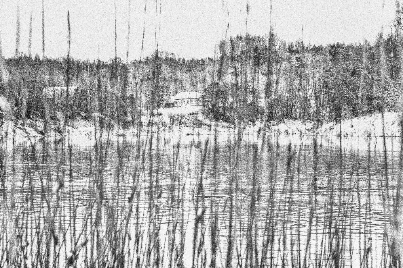 Жизнь вокруг