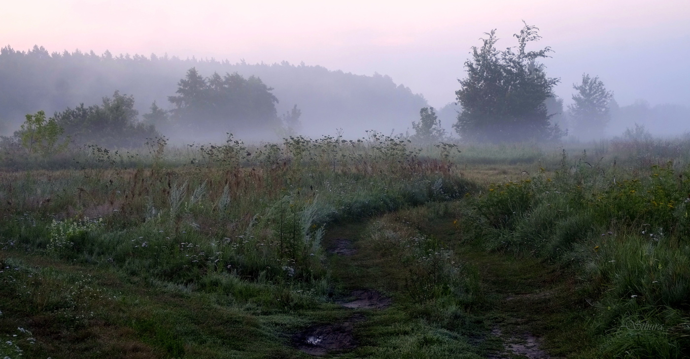 Летом в поле.