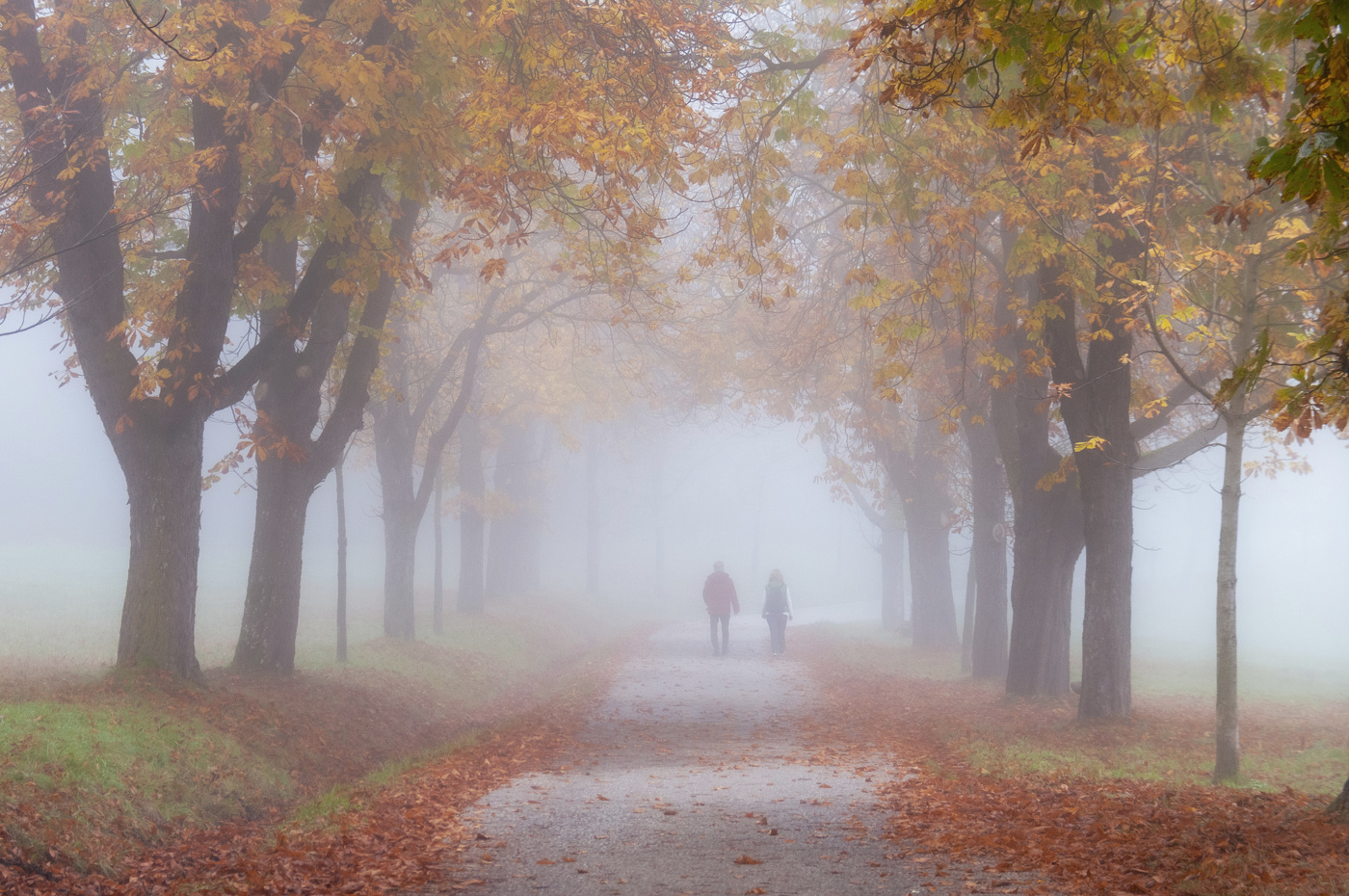 Дорожка в осень