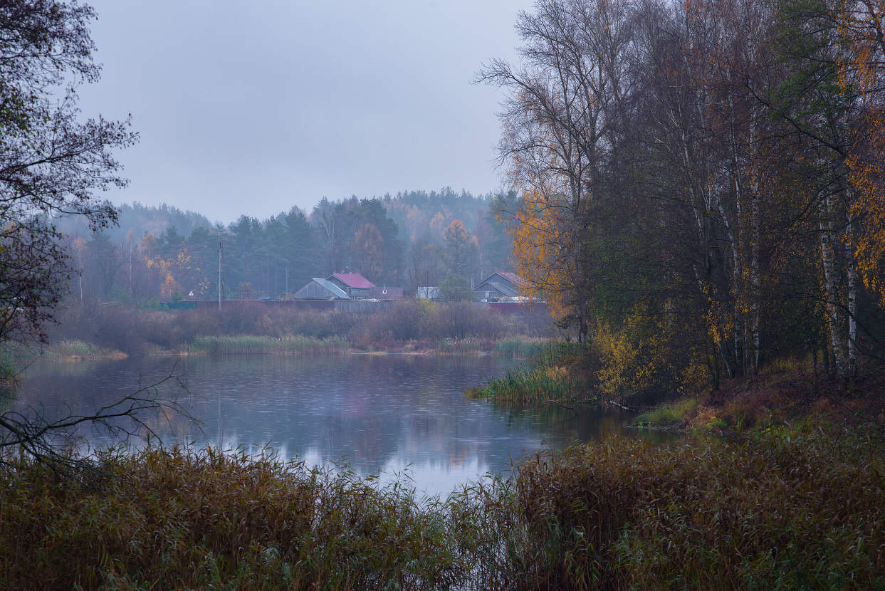 Дождливый день.