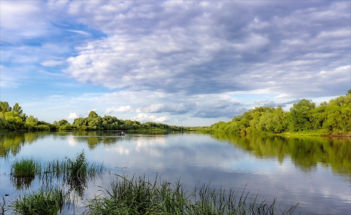 ПРЕДАВАЯСЬ ЛЕТНЕМУ РАЗДОЛЬЮ