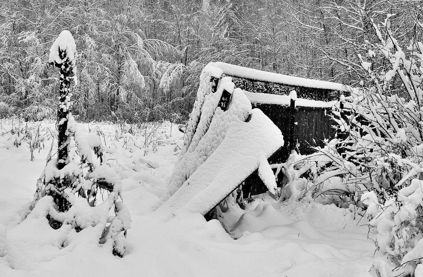 "Глядь, зима катит в глаза ..."