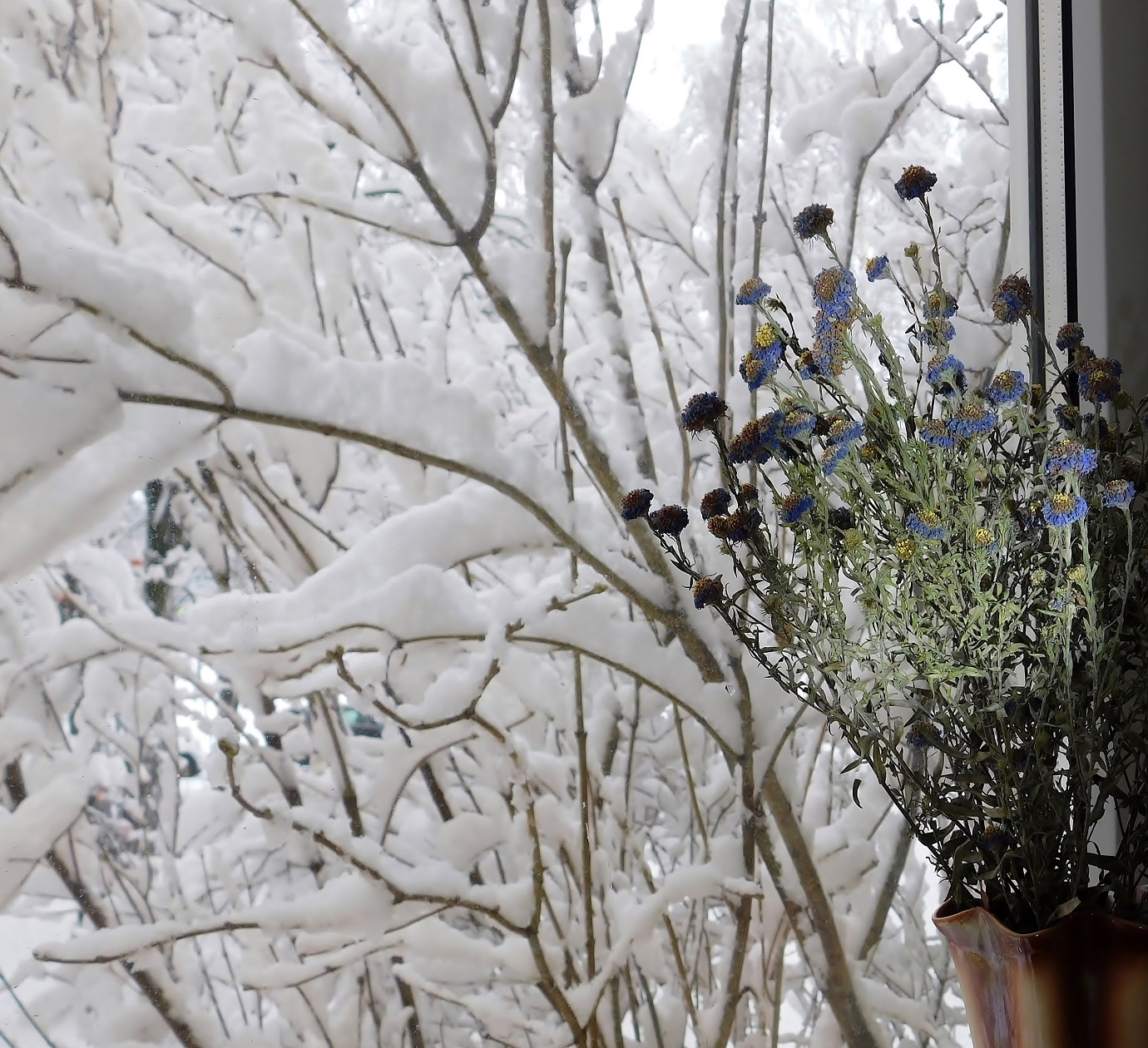 первый снег