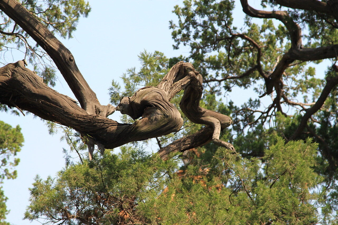 Китайские зарисовки