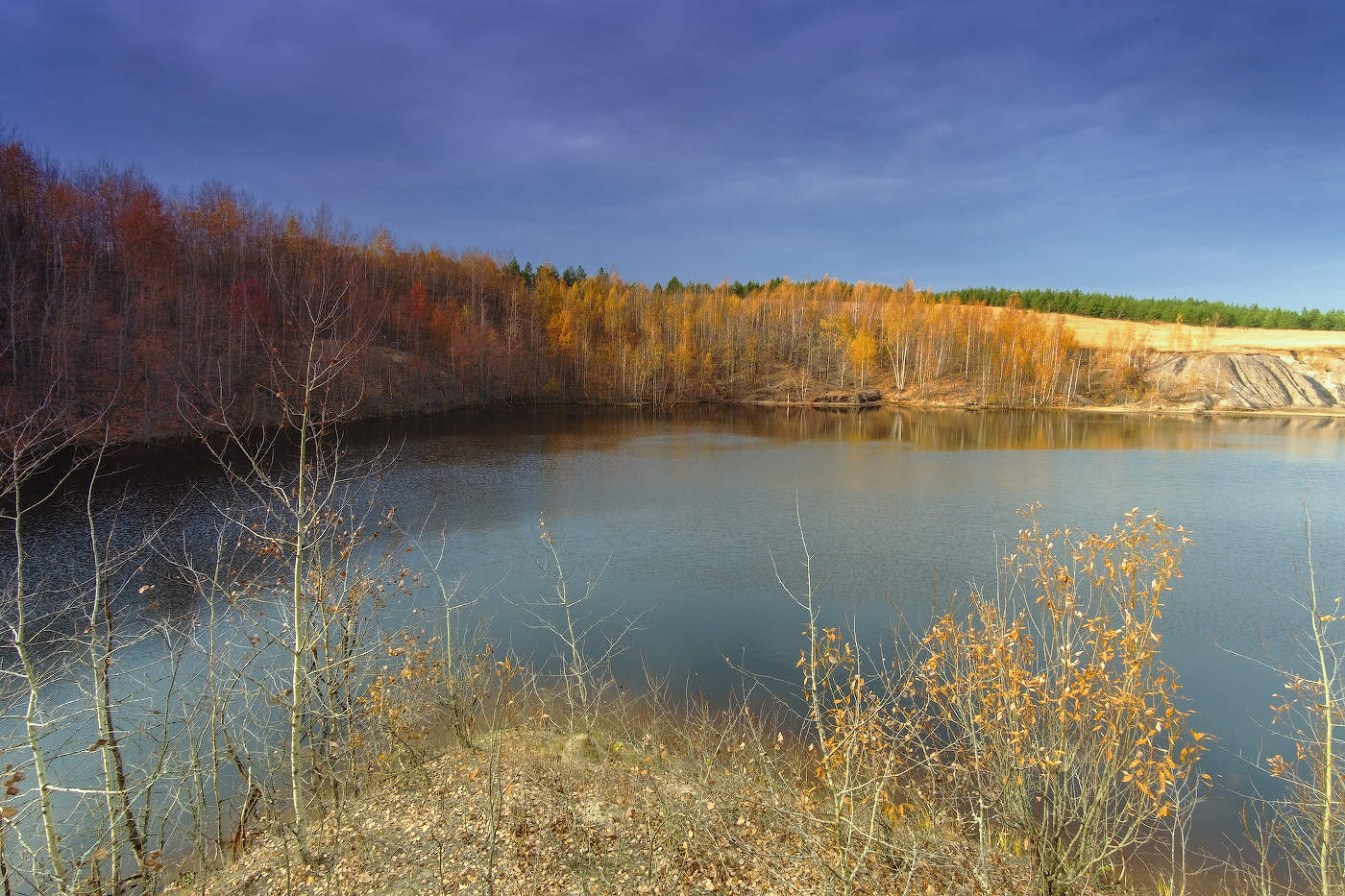 Меж берёз и сосен тихо бродит осень