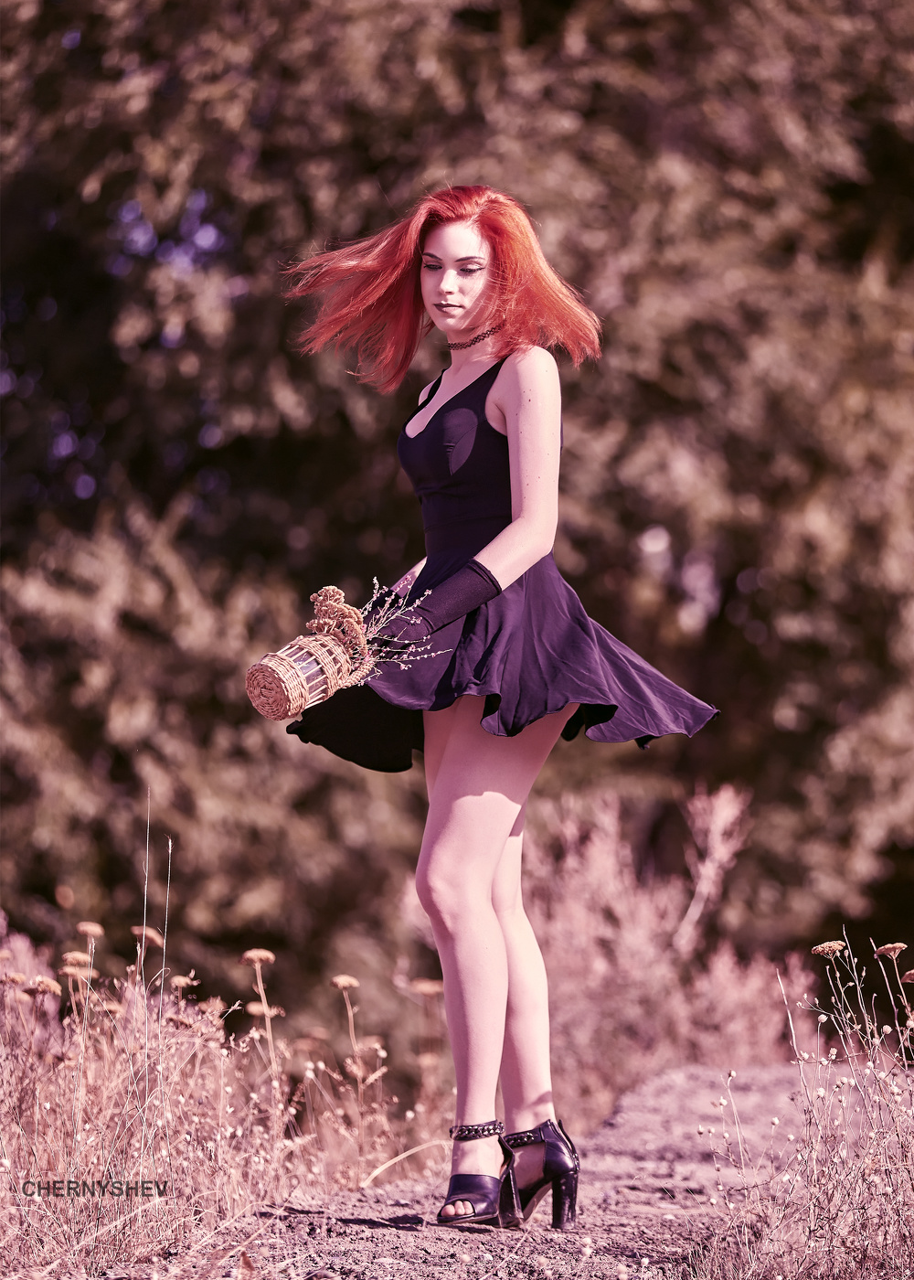 из альбома "логика листьев".