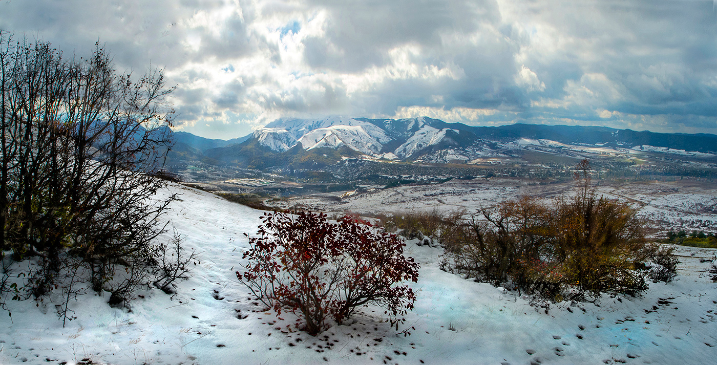 Зимняя панорама