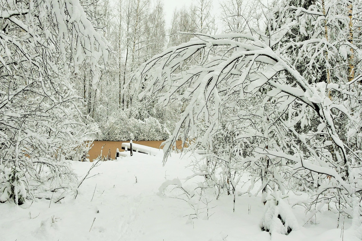 После первого снегопада ...
