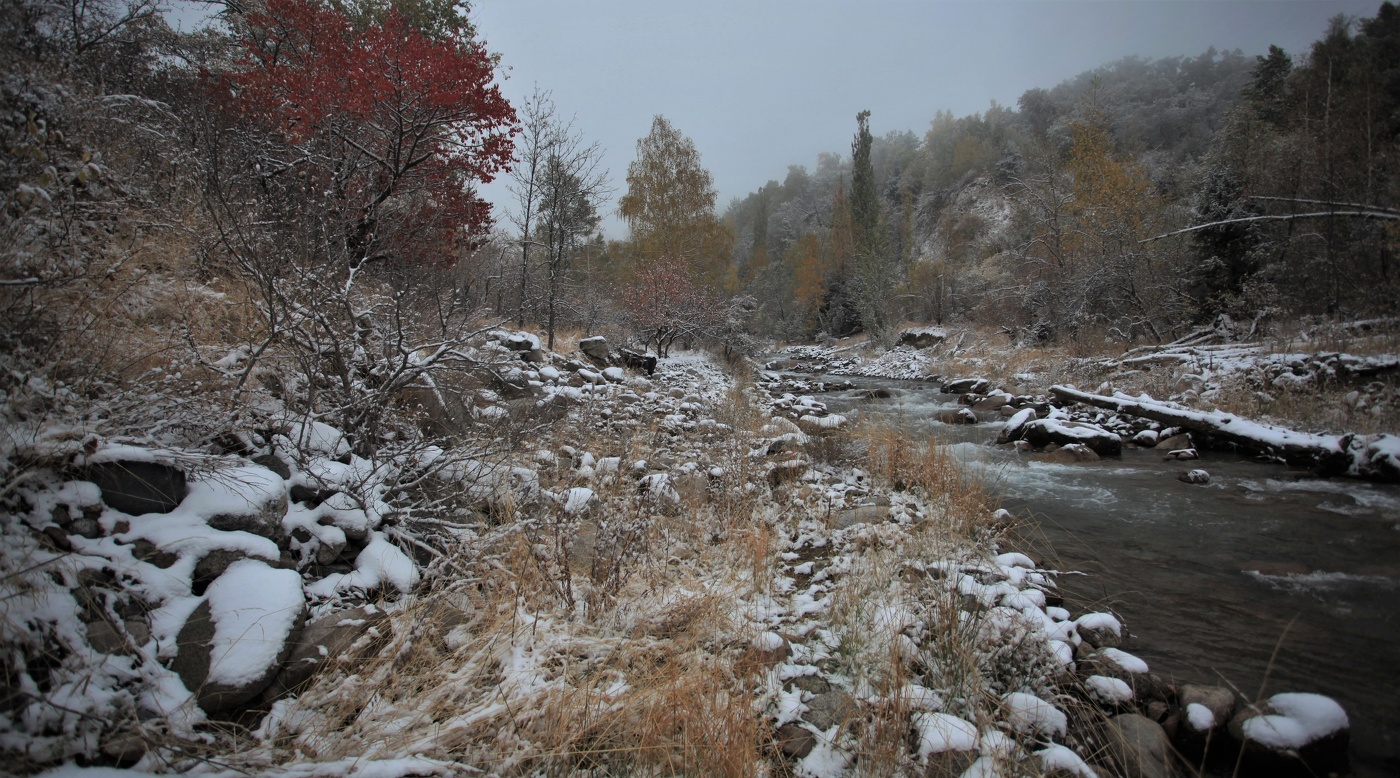 Зима наступает...