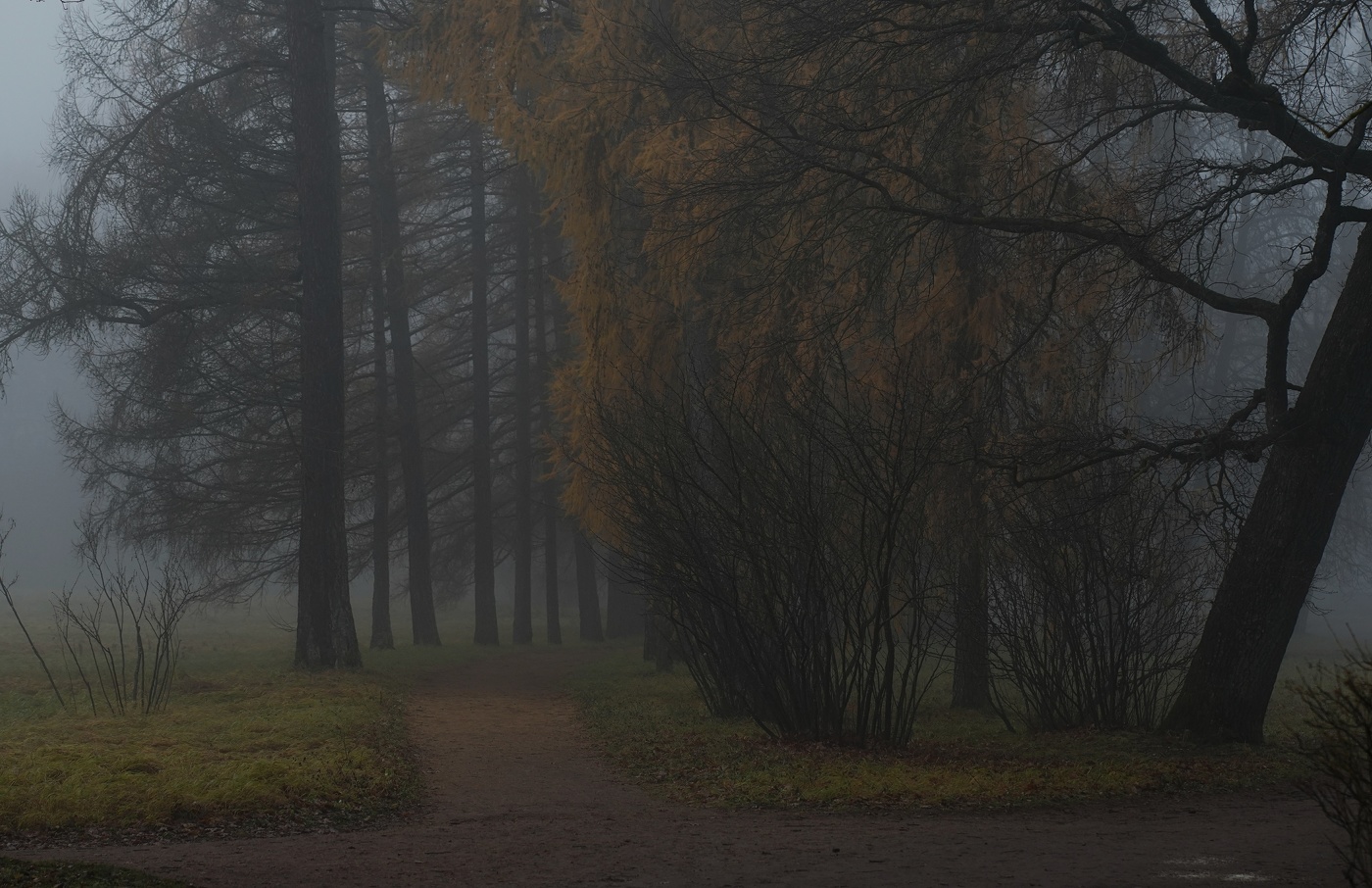 Осеннее утро