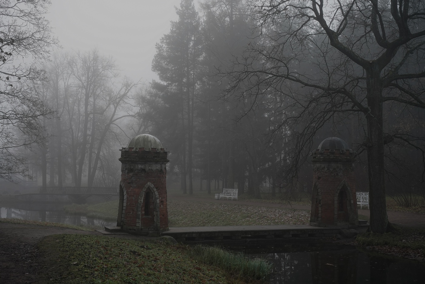 Утро в ноябре