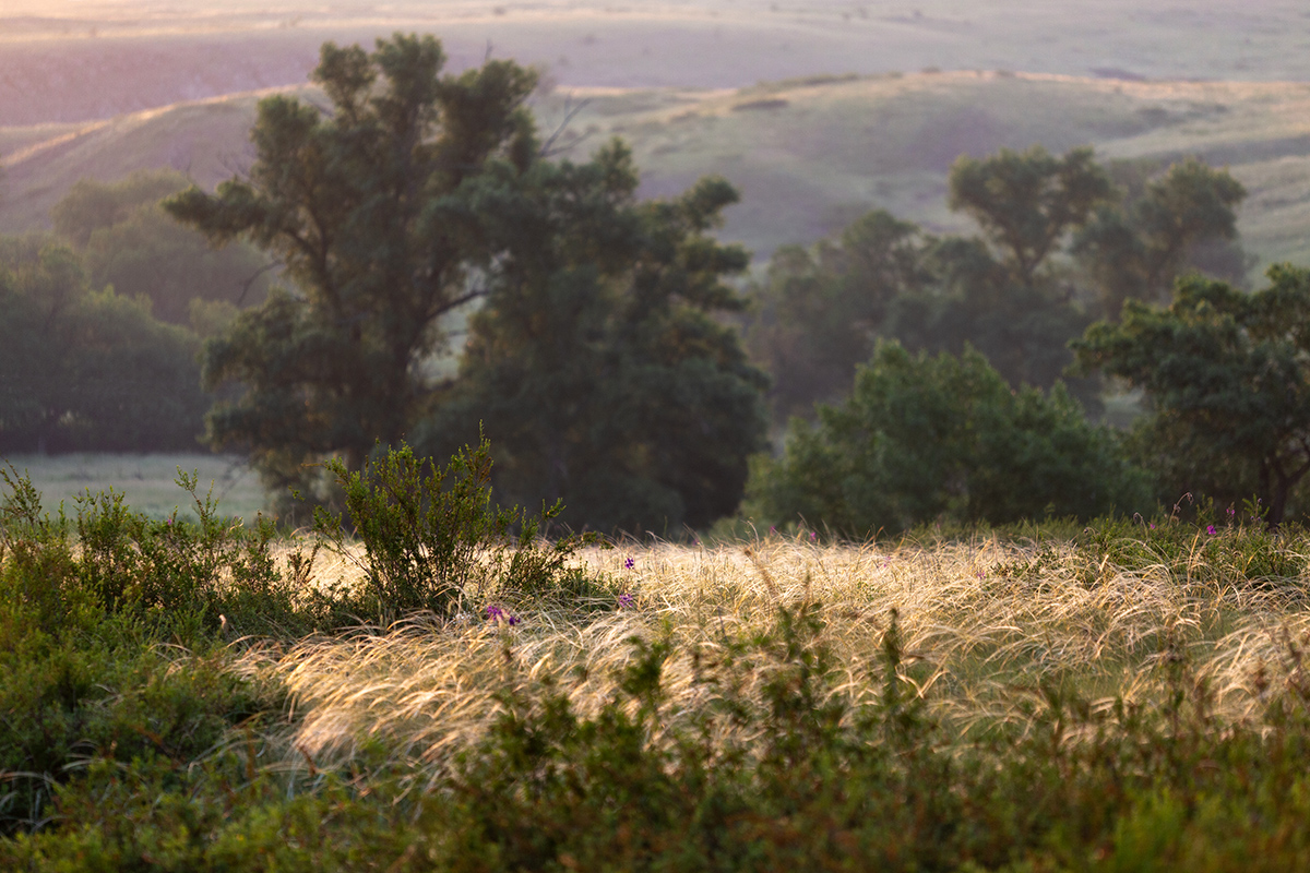 Доброе утро