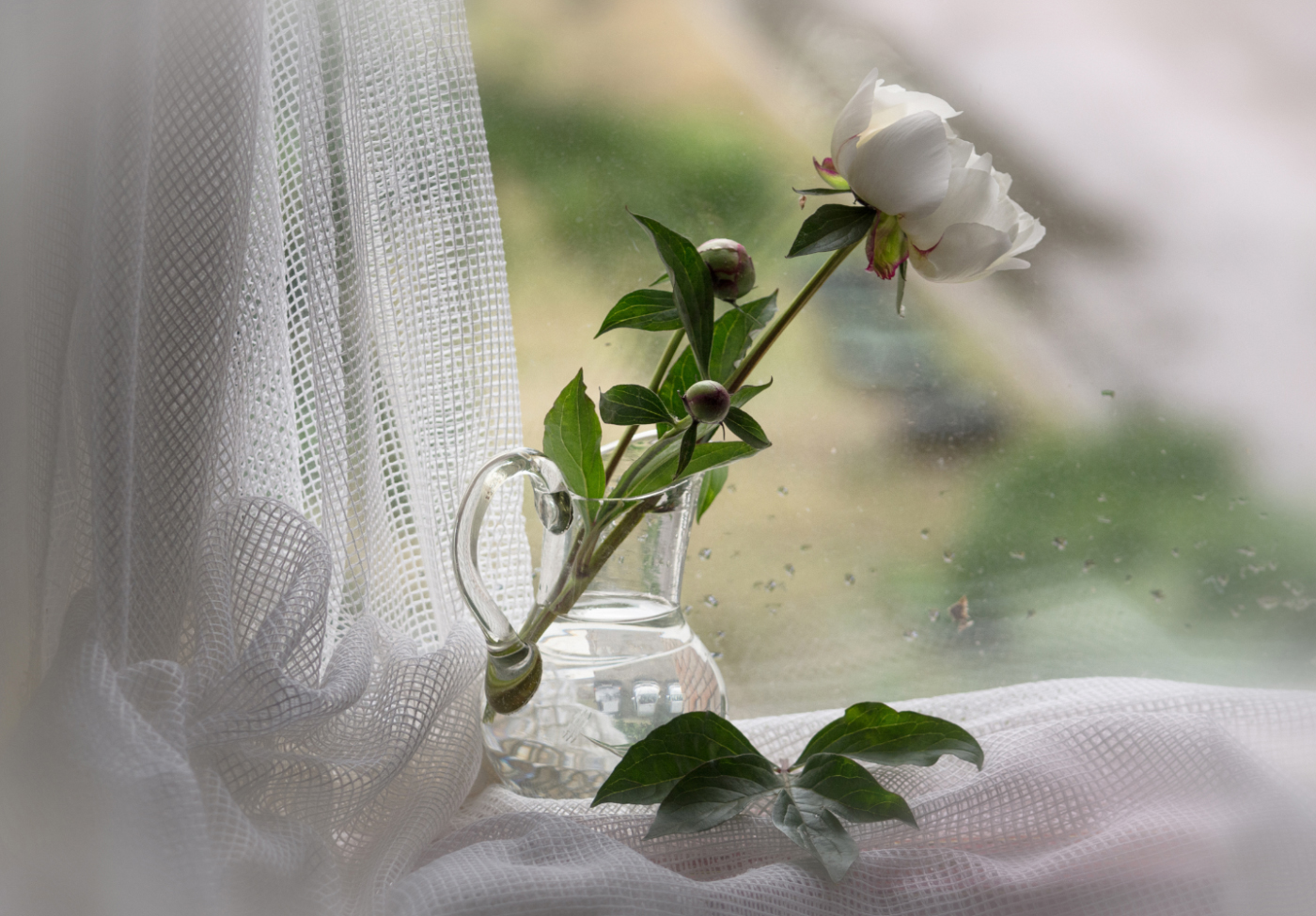 Июньский дождик за окном...