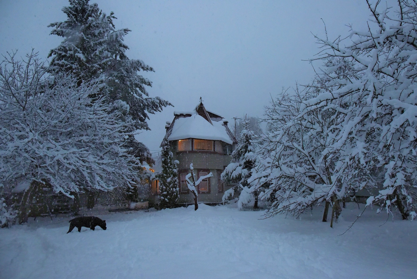 Смеркалось ...